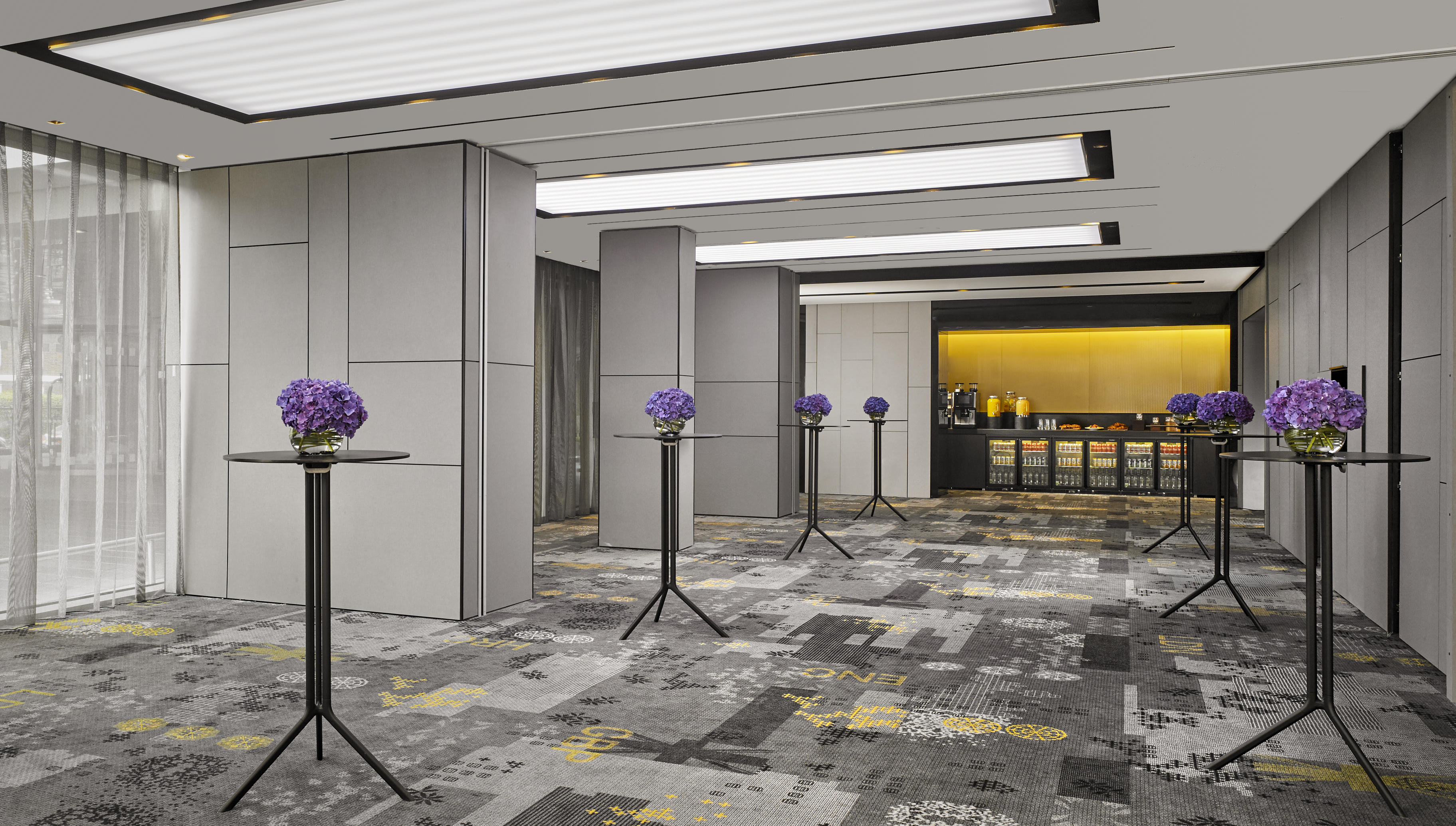 Park Suites 5 & 6 plus Foyer